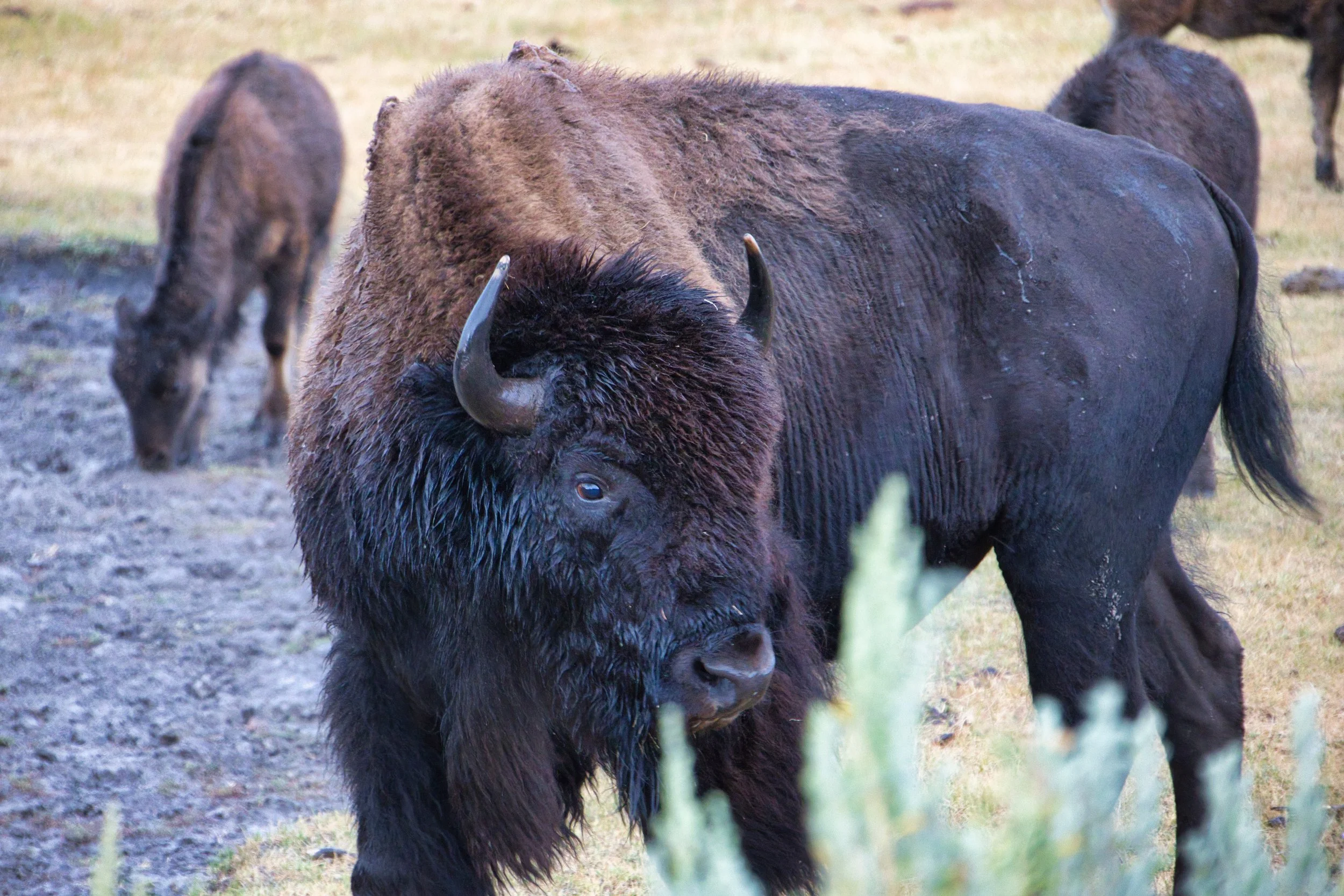 _LA_7378-Evoto Edited.jpg