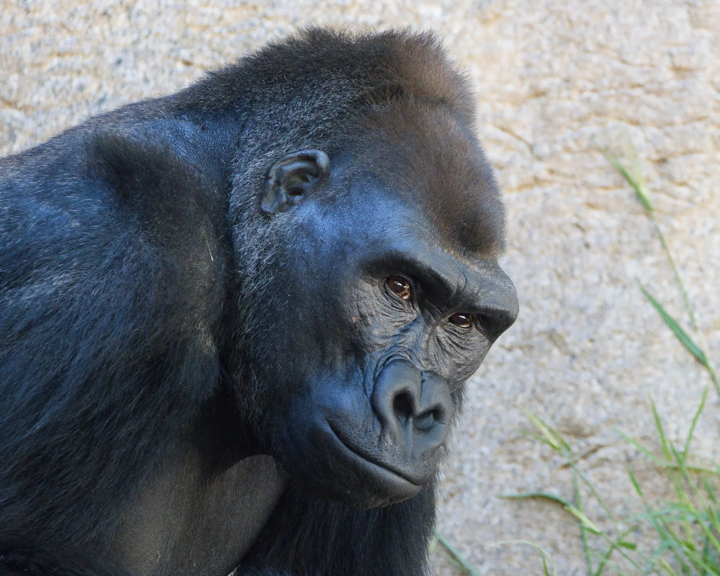 IMG_2412-Evoto Edited.jpg