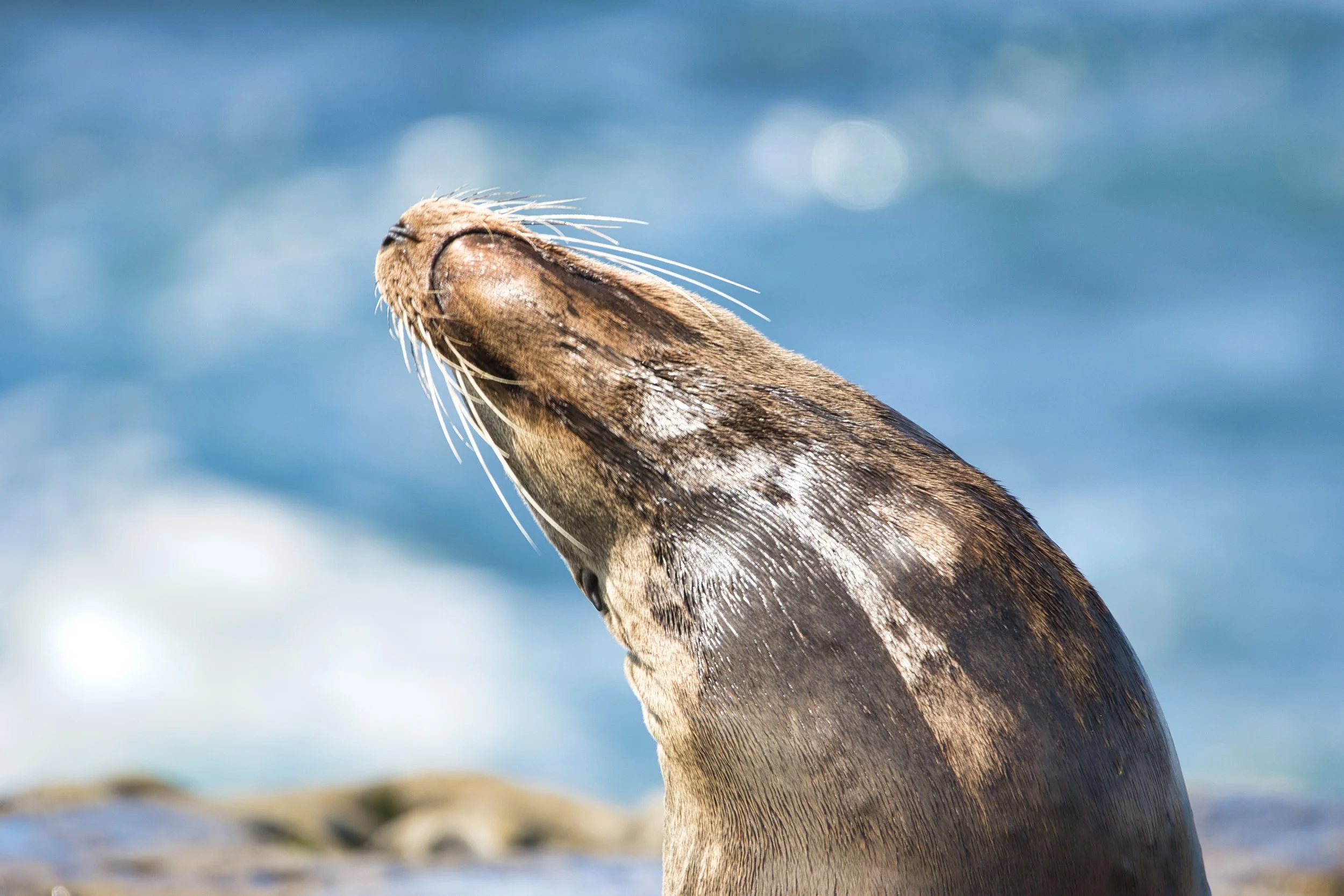 IMG_0834-Evoto Edited.jpg