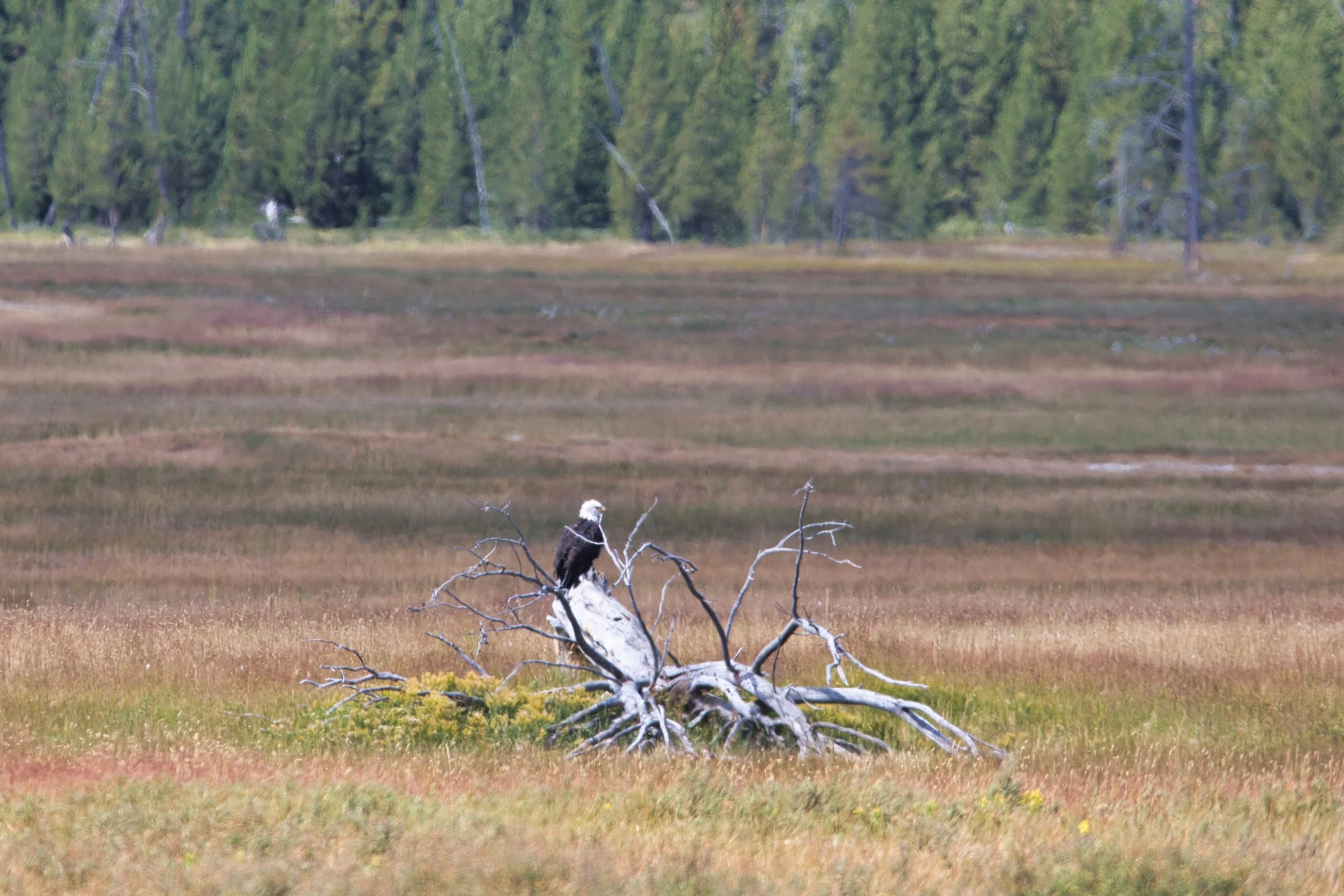 _LA_7264-Evoto Edited.jpg