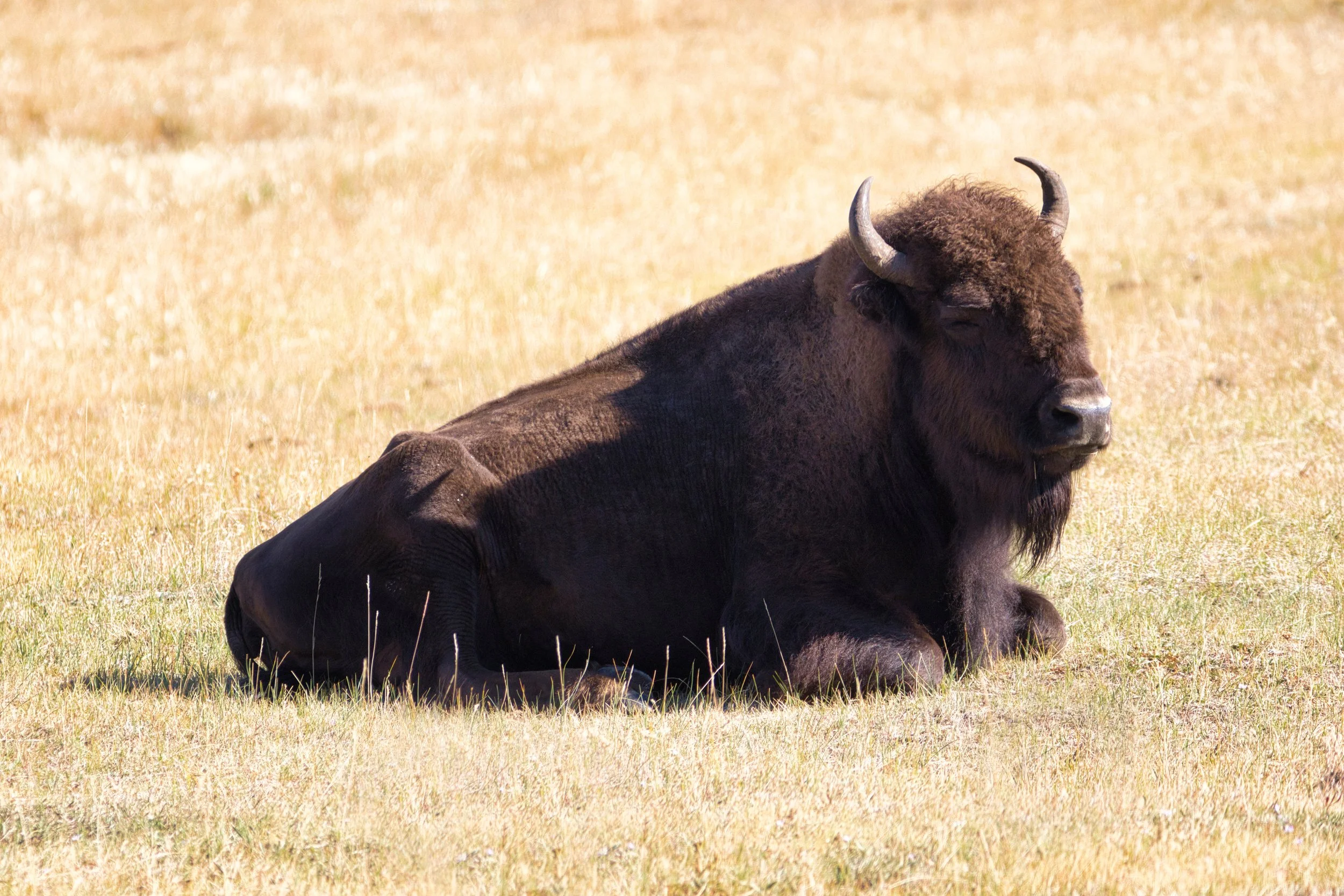 _LA_7503-Evoto Edited.jpg