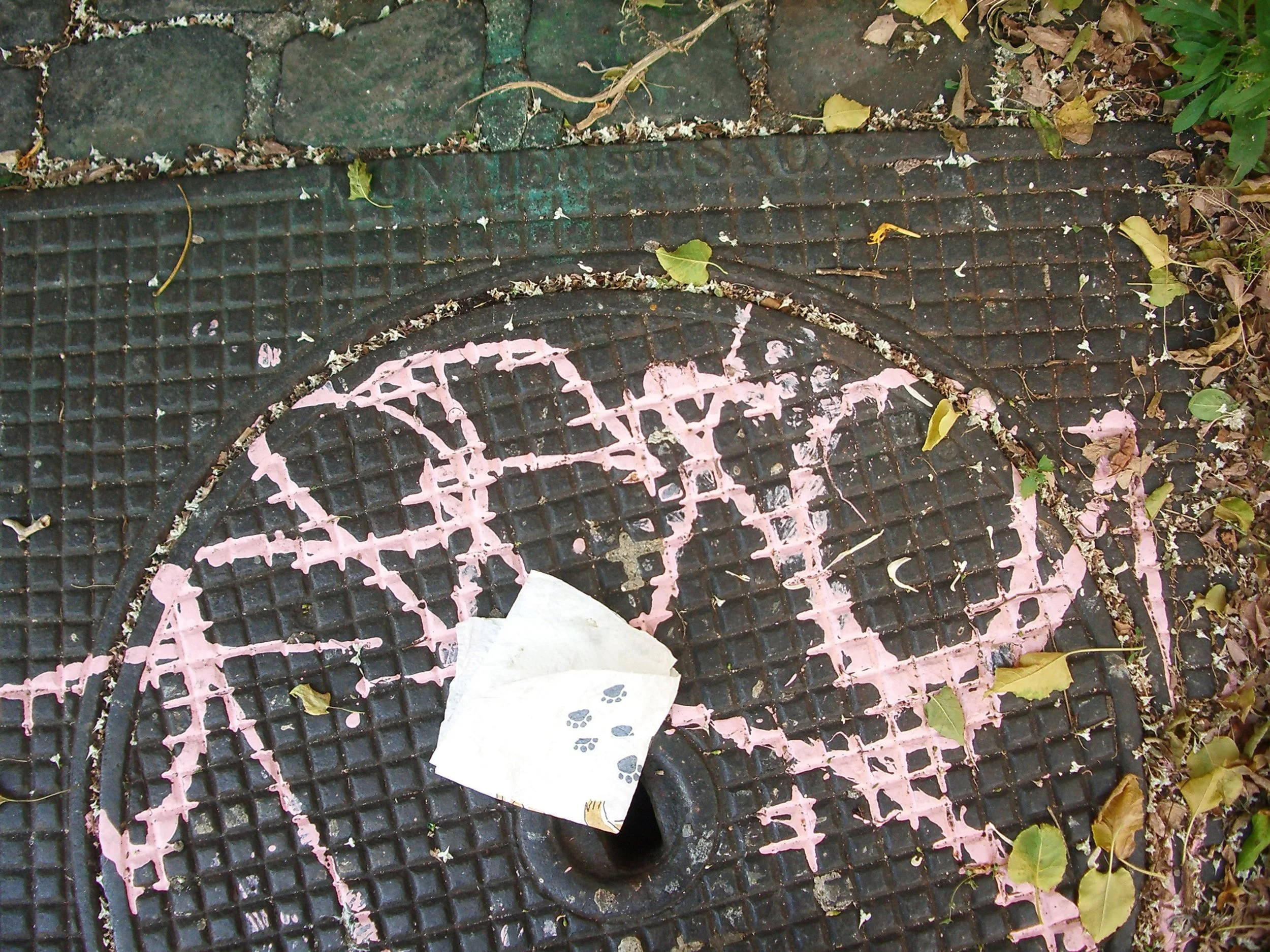 IMGP0311.JPG