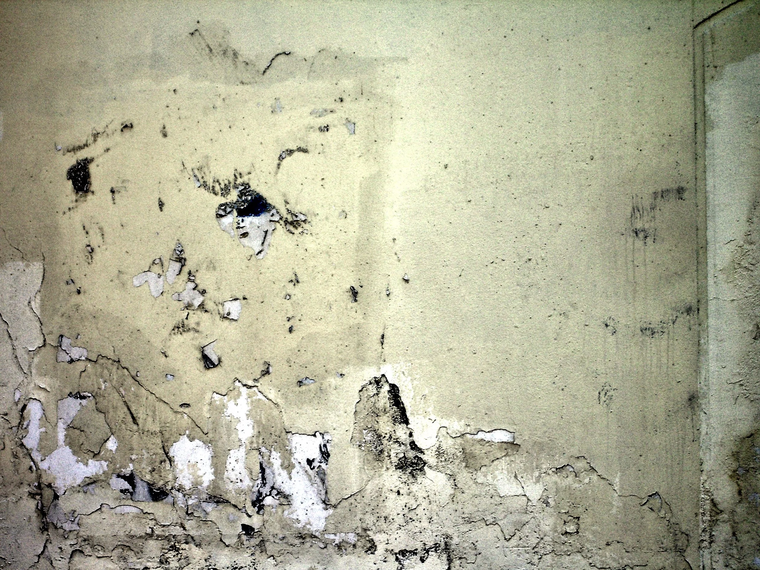 TEXTURE.jpg