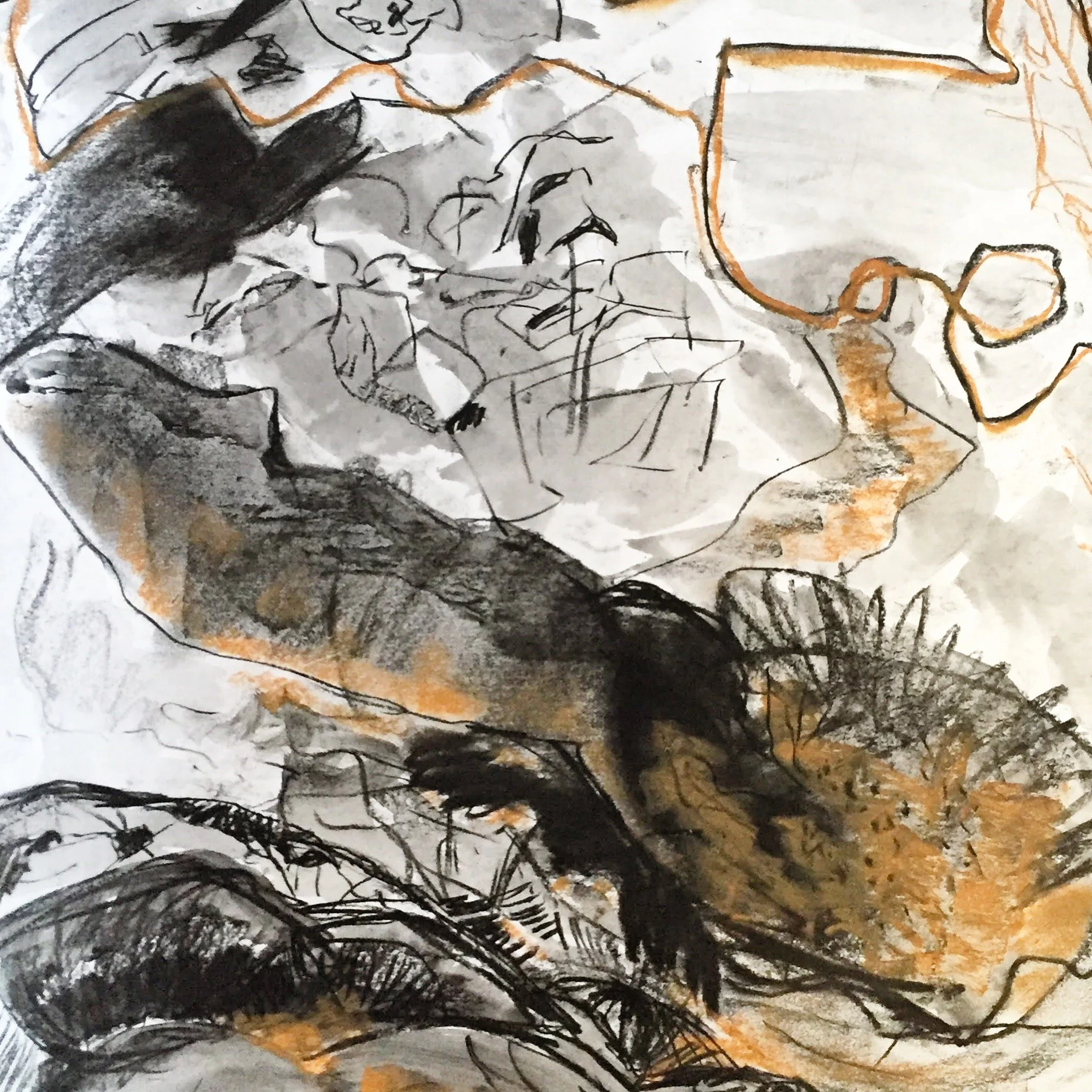                Studio Notes June -The Scribble