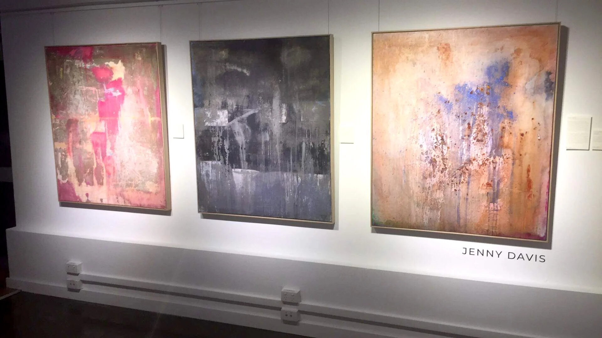 Jenny Davis_ Wallmatter Series Exhibition_YAVA 2019  JPG