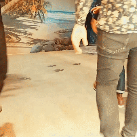 y2mate.com - OCEANS Digital Immersive Odyssey_1080p.gif