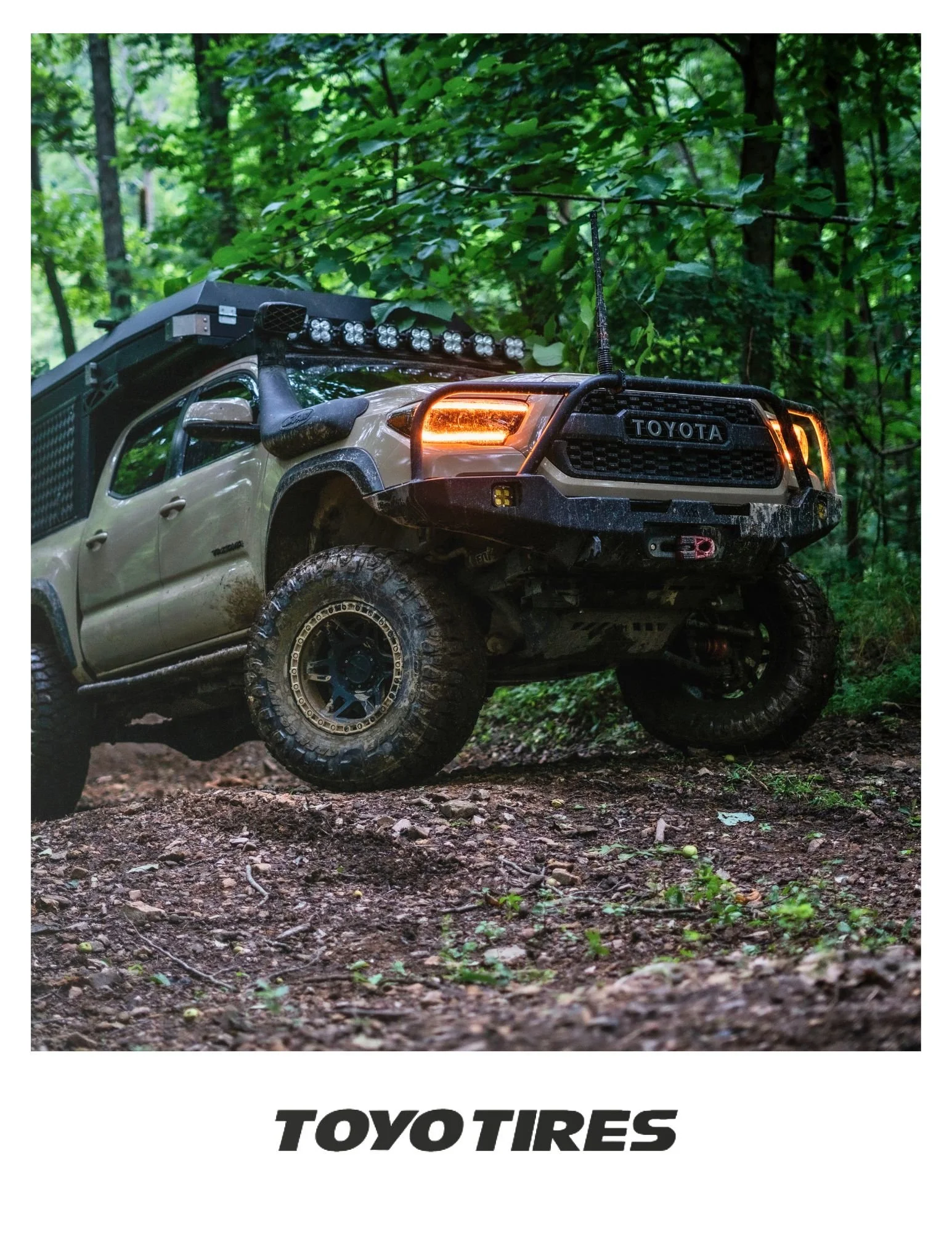Toyo cover.jpg