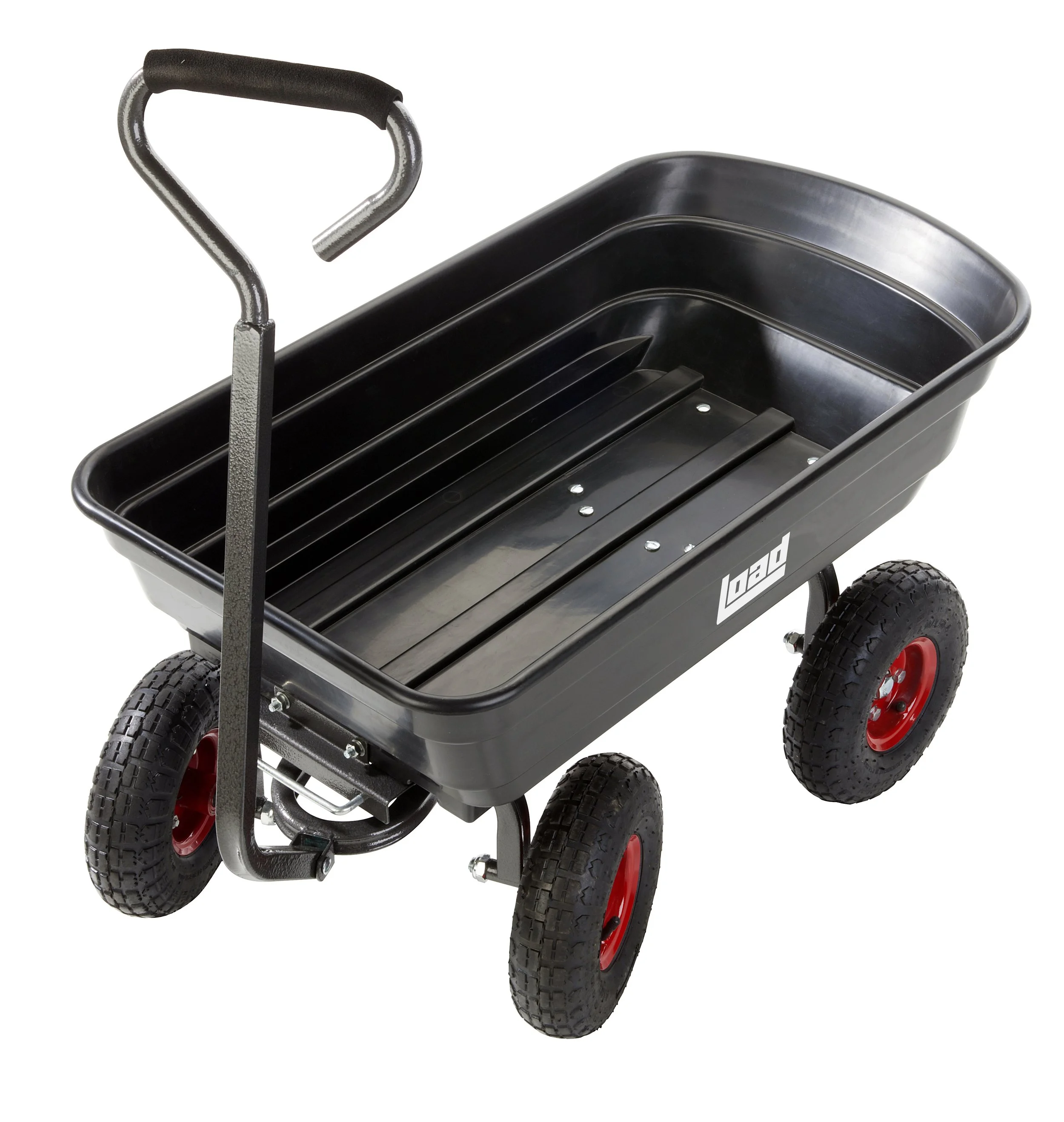 GCP75_autumn cat.jpg