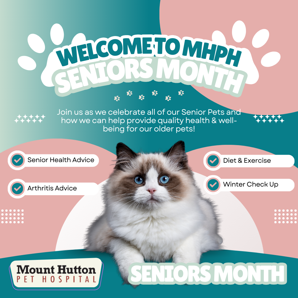 Welcome to Seniors Month! 