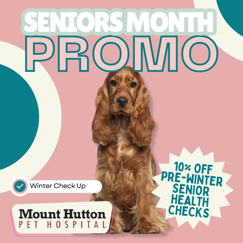 Seniors Month Promo!