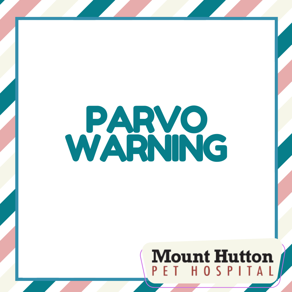 Parvo Warning