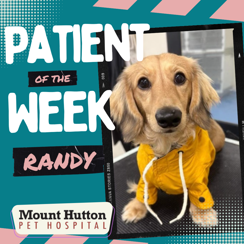 Patient of the Week