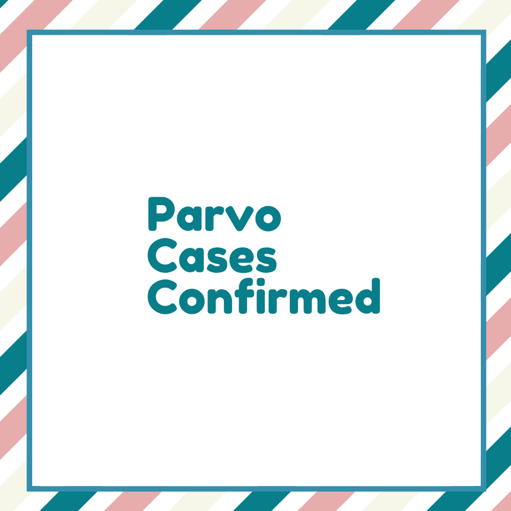 Parvo Cases Confirmed