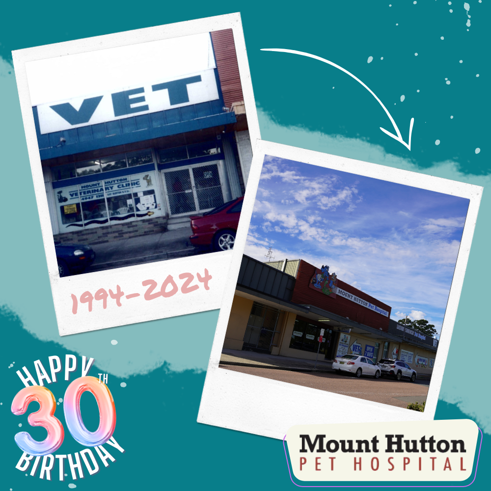 1994…What a Year!!