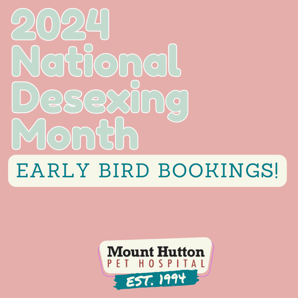 Desexing Month is coming!