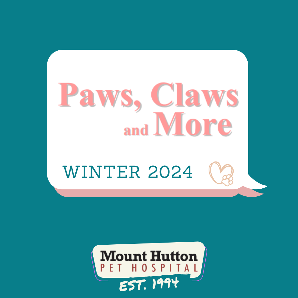 Paws, Claws and More Winter Edition!