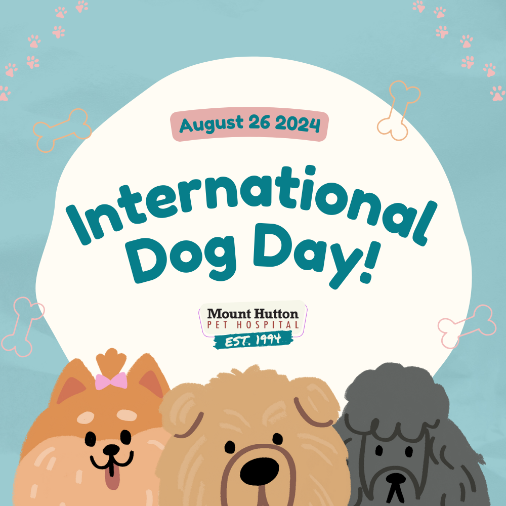 International Dog Day