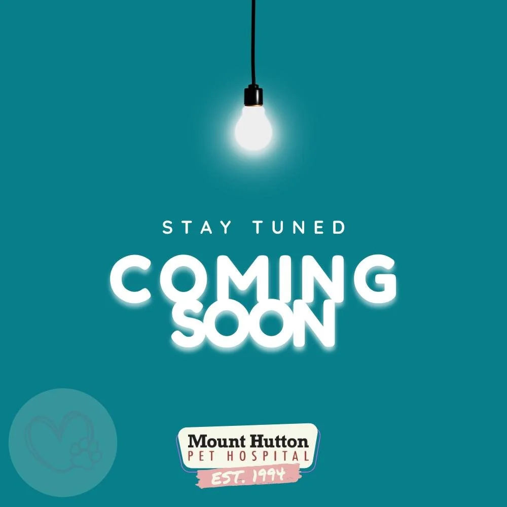 Ohhhh, we have something big coming…