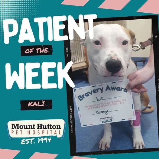 Our Patient of the Week!