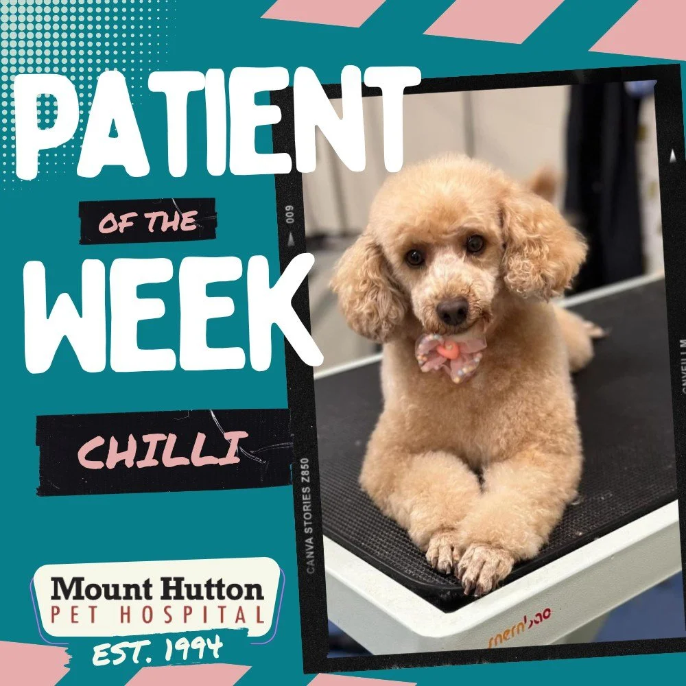 Patient of the Week