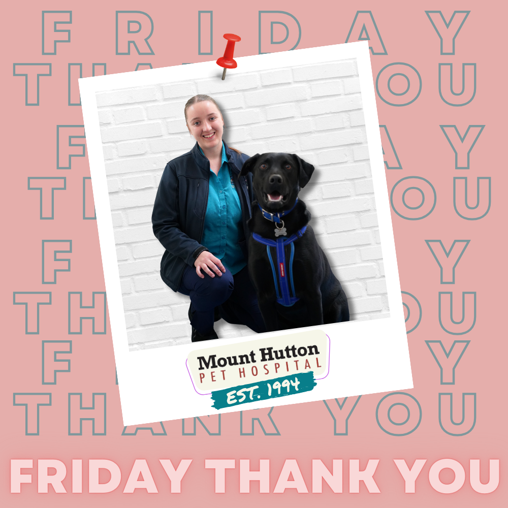 Thank You Friday: Brooke