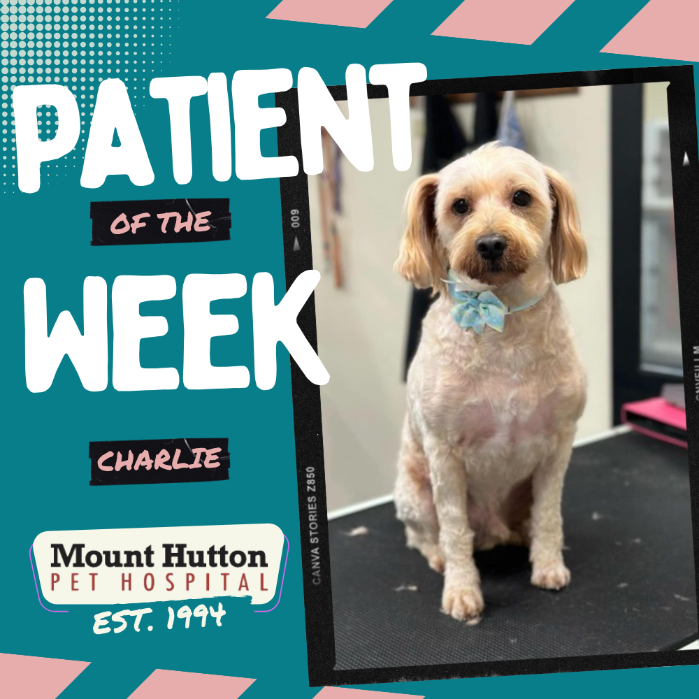 Patient of the Week