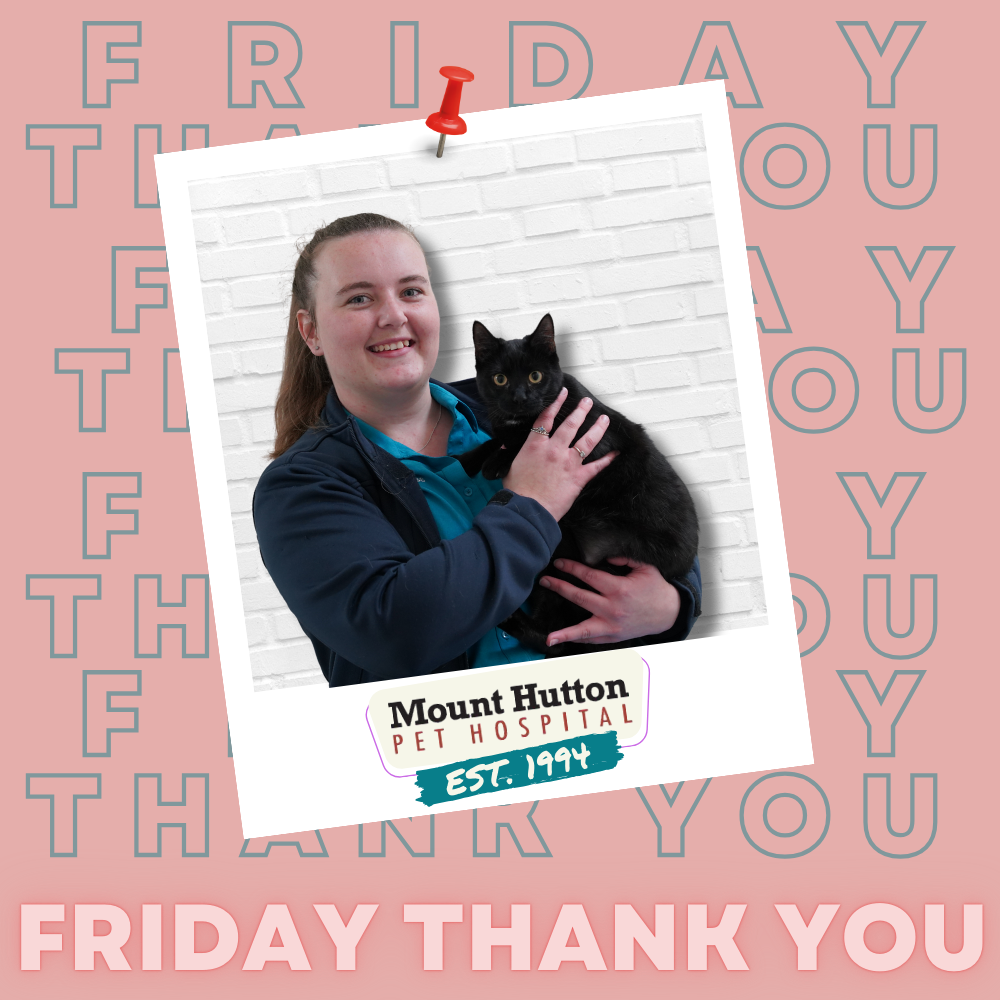 Thank You Friday: Jess