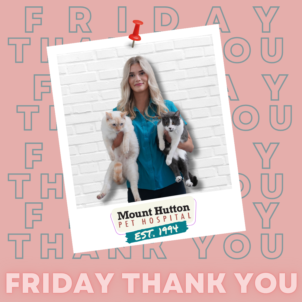 Thank You Friday: Demi