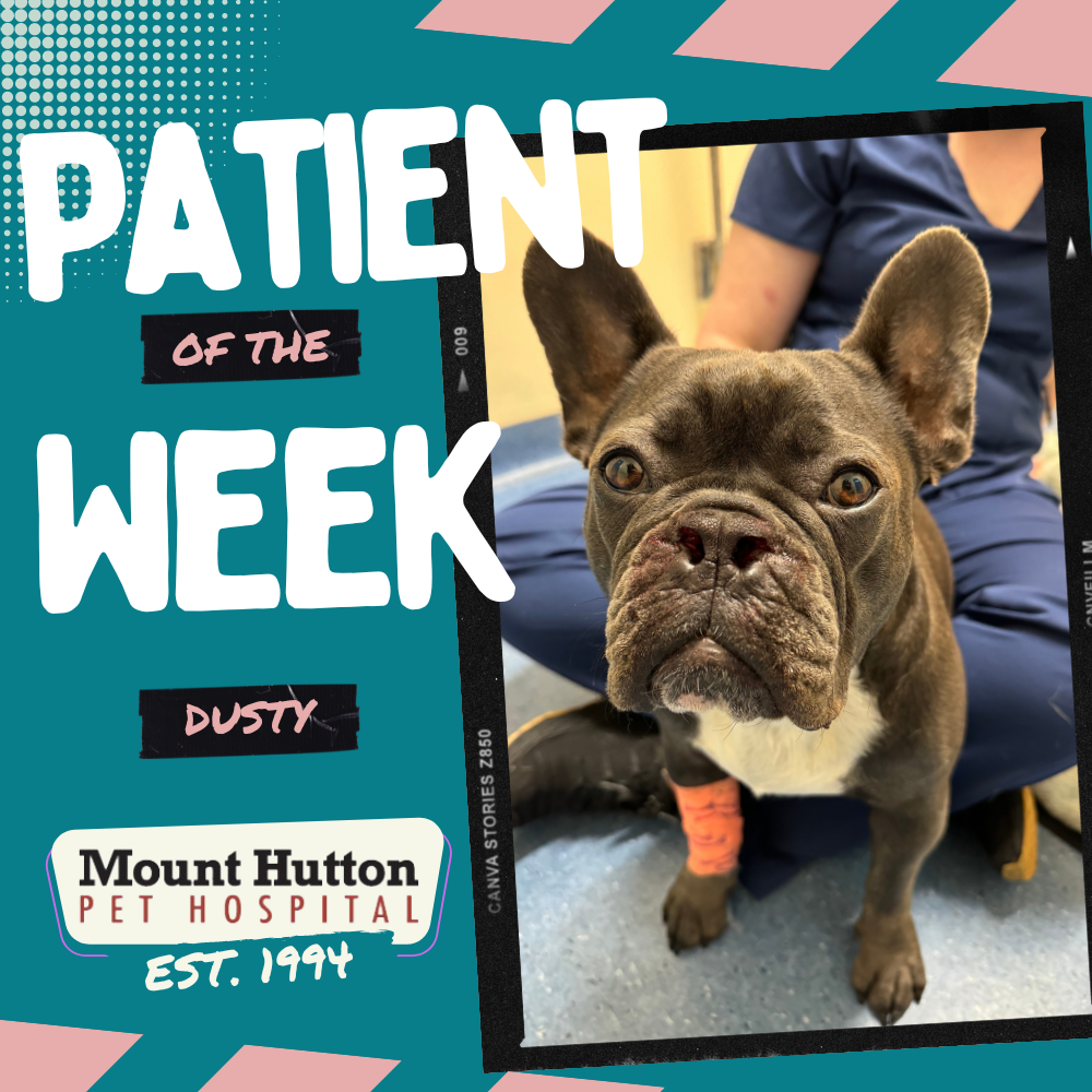 Patient of the Week