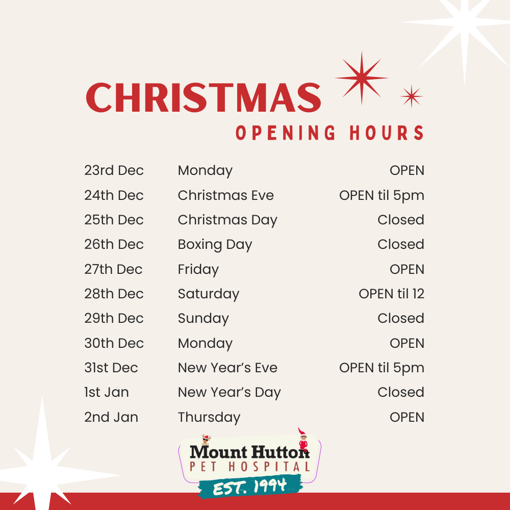 Christmas and New Year Opening Times for MHPH. 