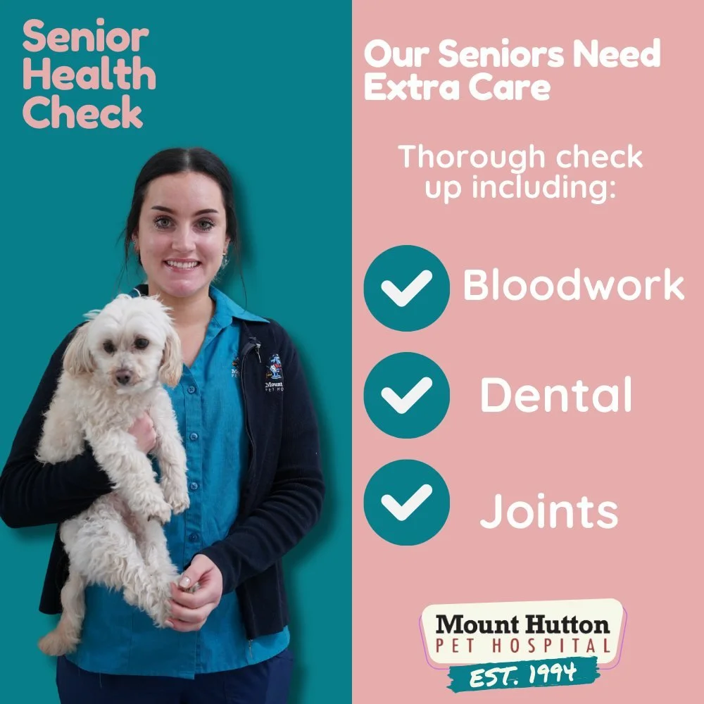 Senior Health Check: Book Now!