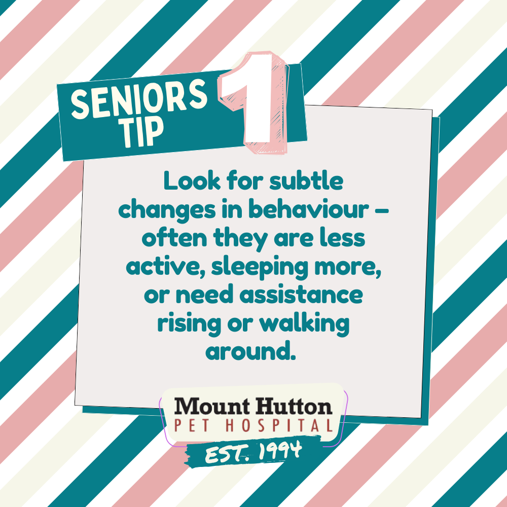 Senior tip #1