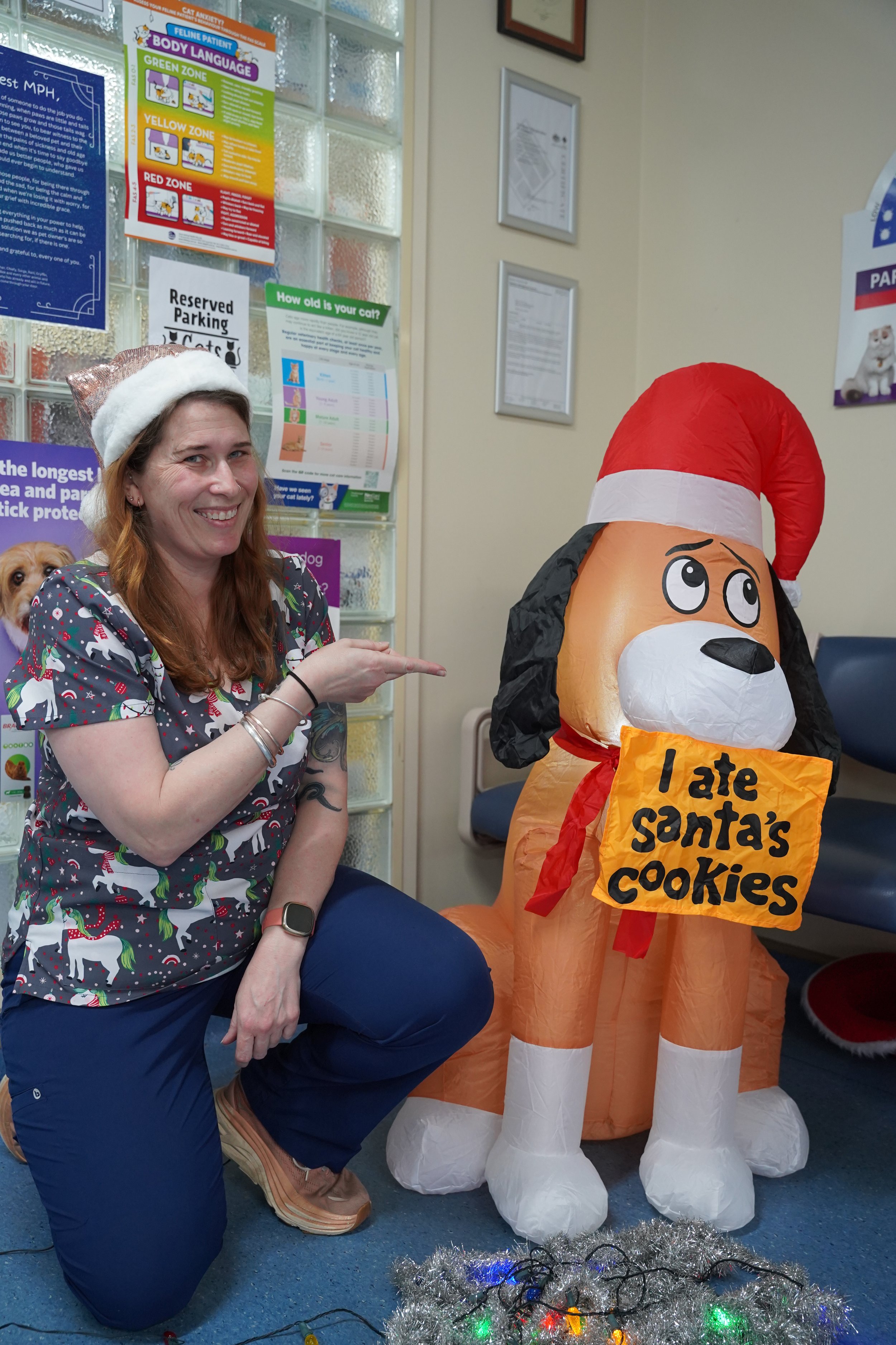 Christmas Food Warnings!