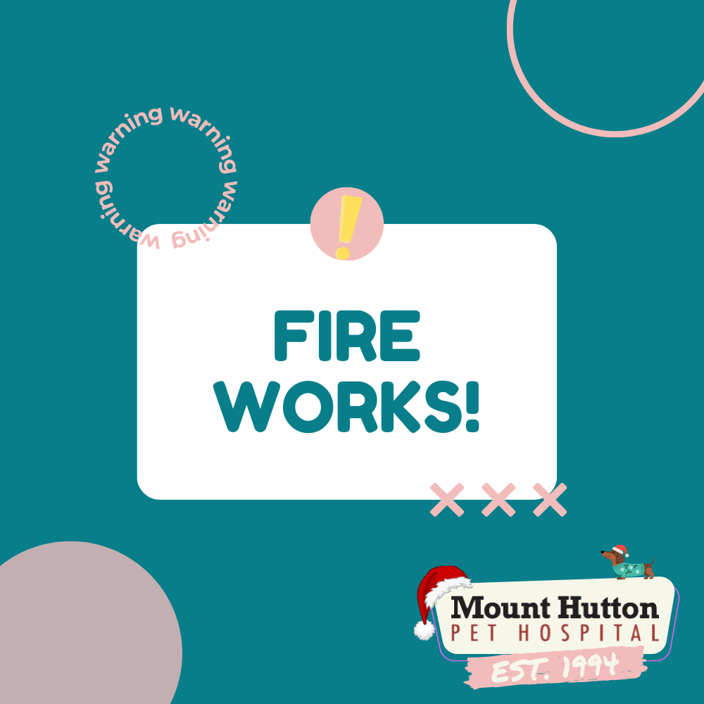 Fireworks &amp; Pets: Be Prepared!