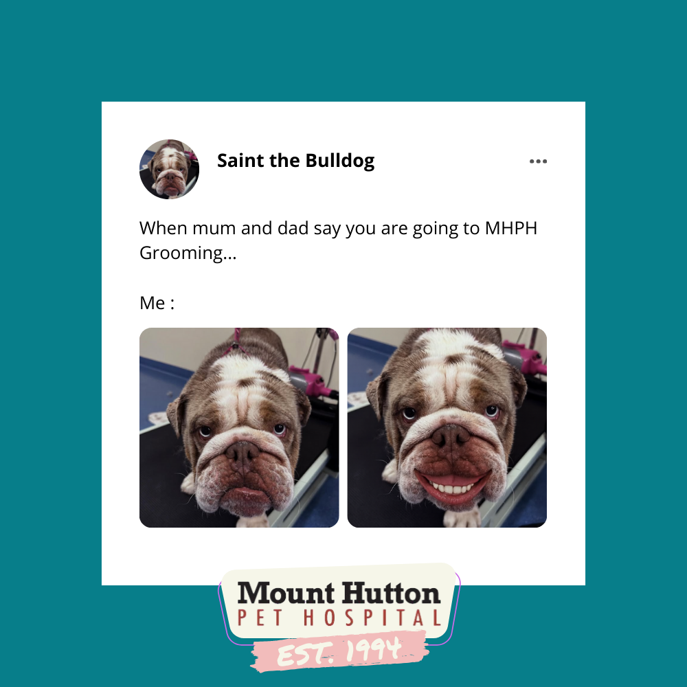 Summer coat refresh?