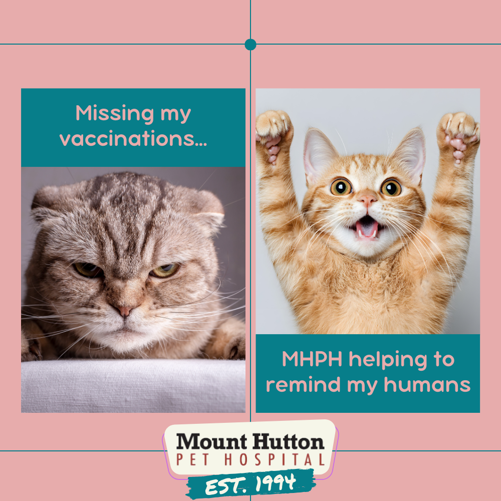 Vaccination Check In!