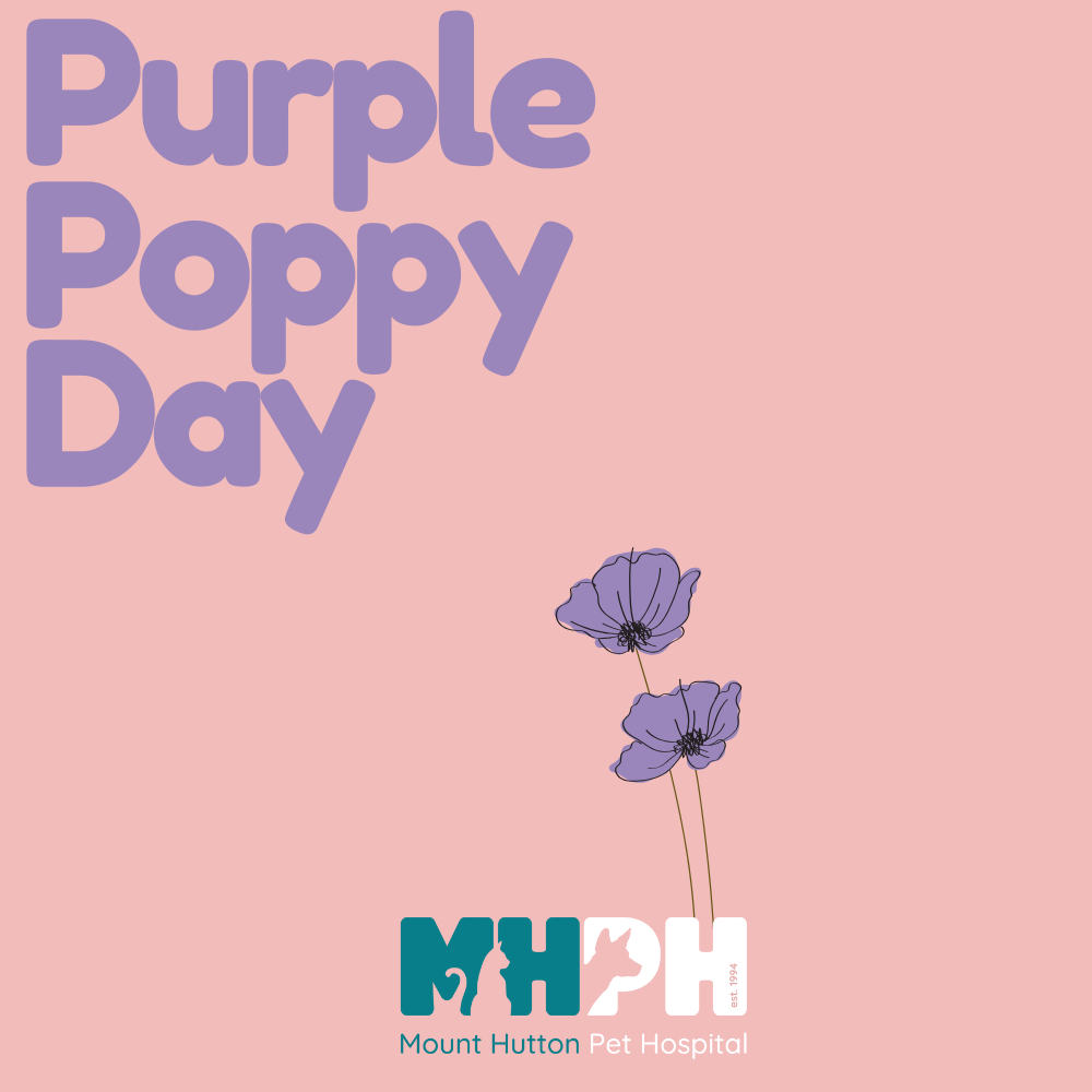 Purple Poppy Day