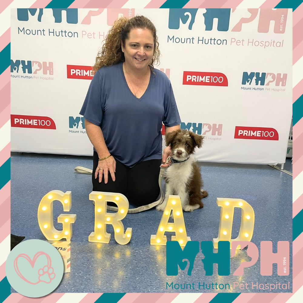 Puppy school isn’t just about cute moments (though there are plenty 😍).