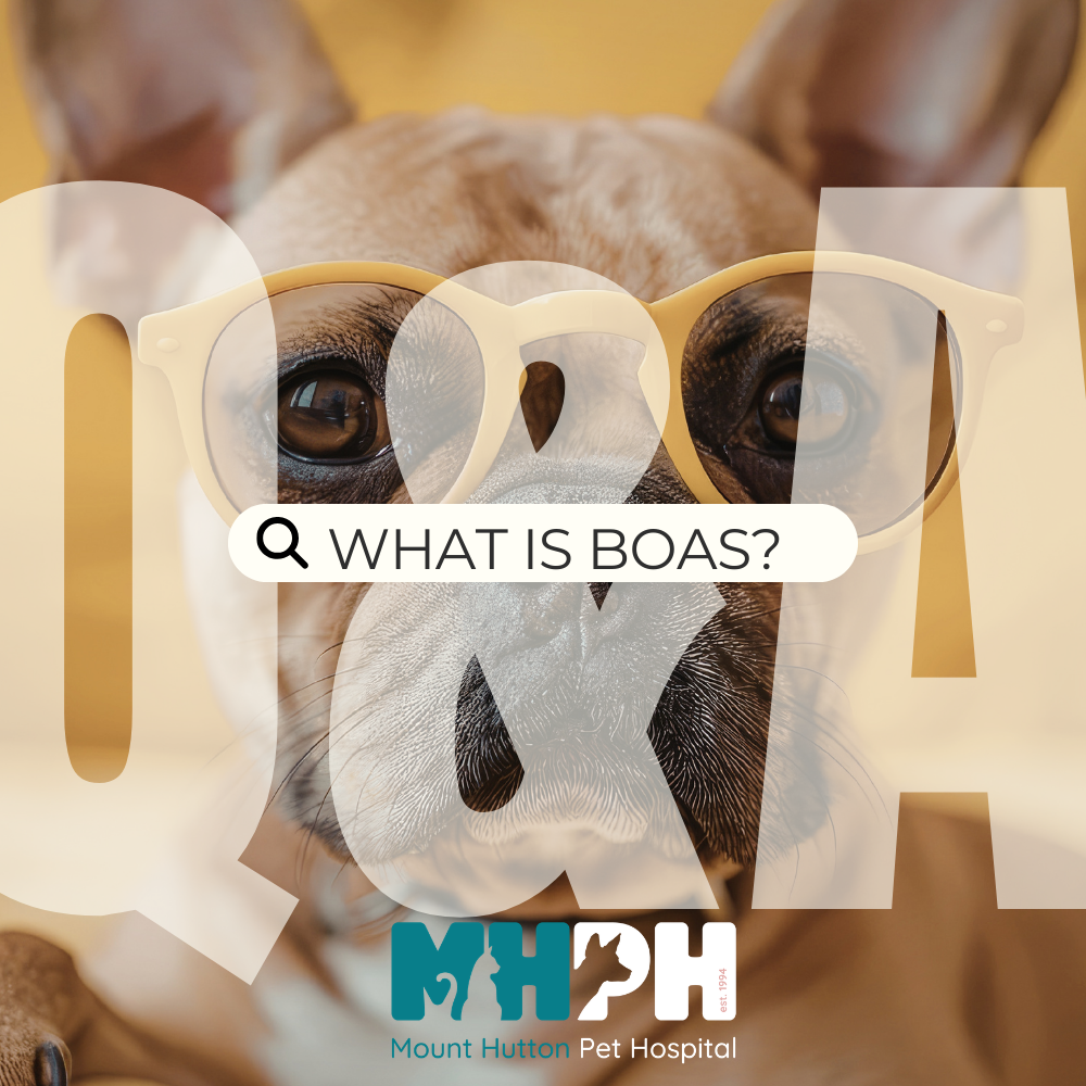 Snoring isn’t…cute.