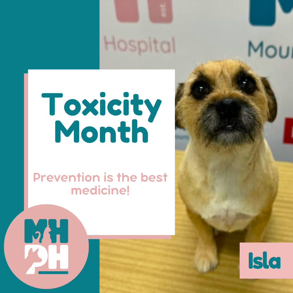 Welcome to Toxicity Month: