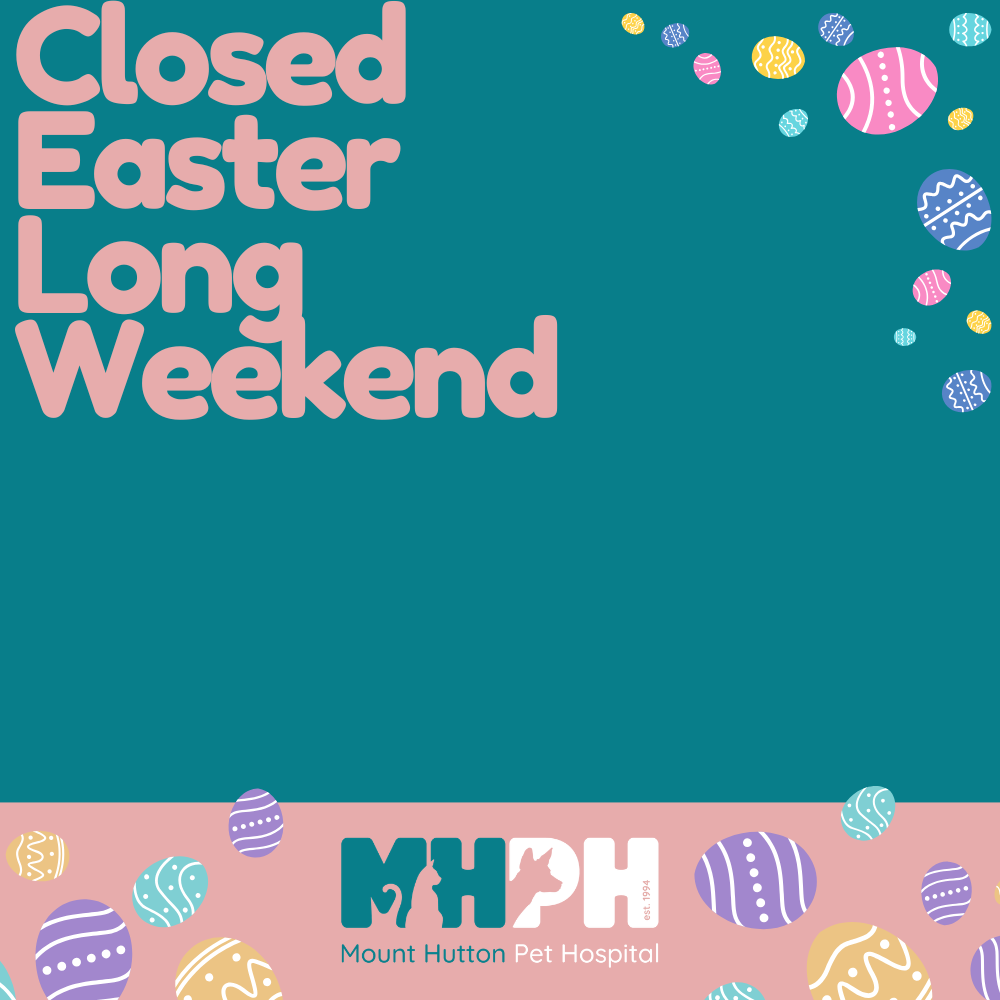 Easter Trading Hours