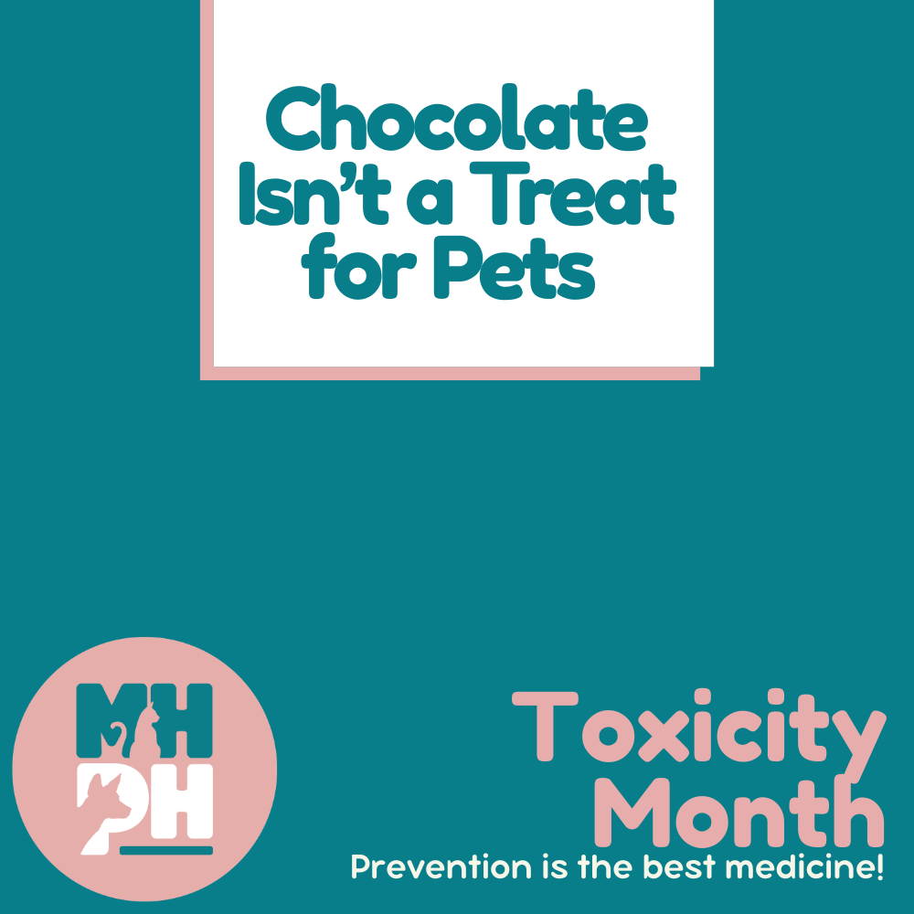 It’s no  to Chocolate!