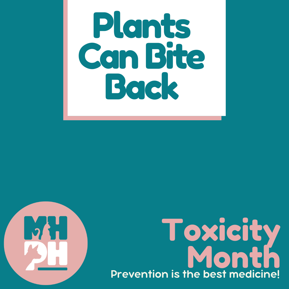 Plants Can Bite Back 🌿