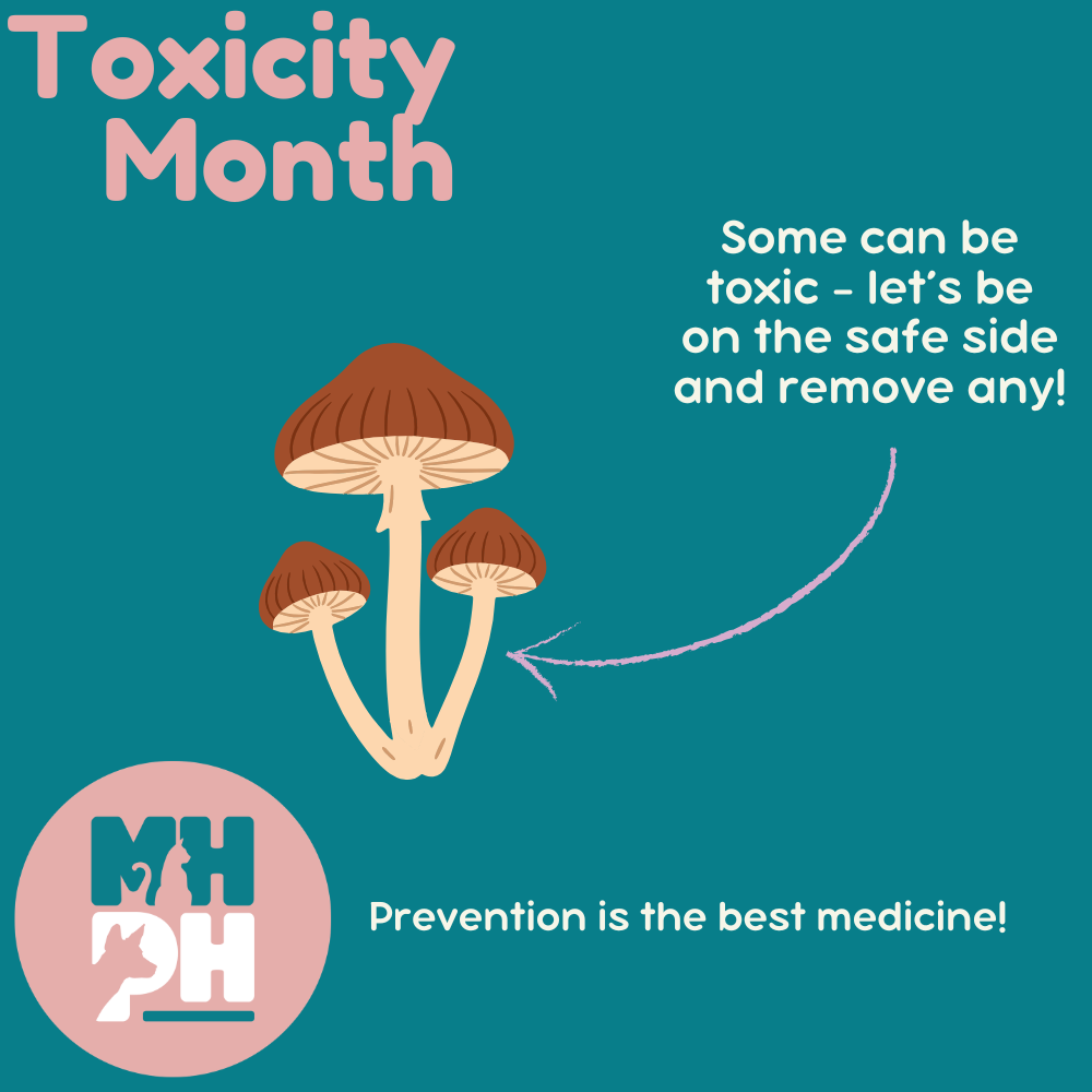 Better to be safe than sorry!