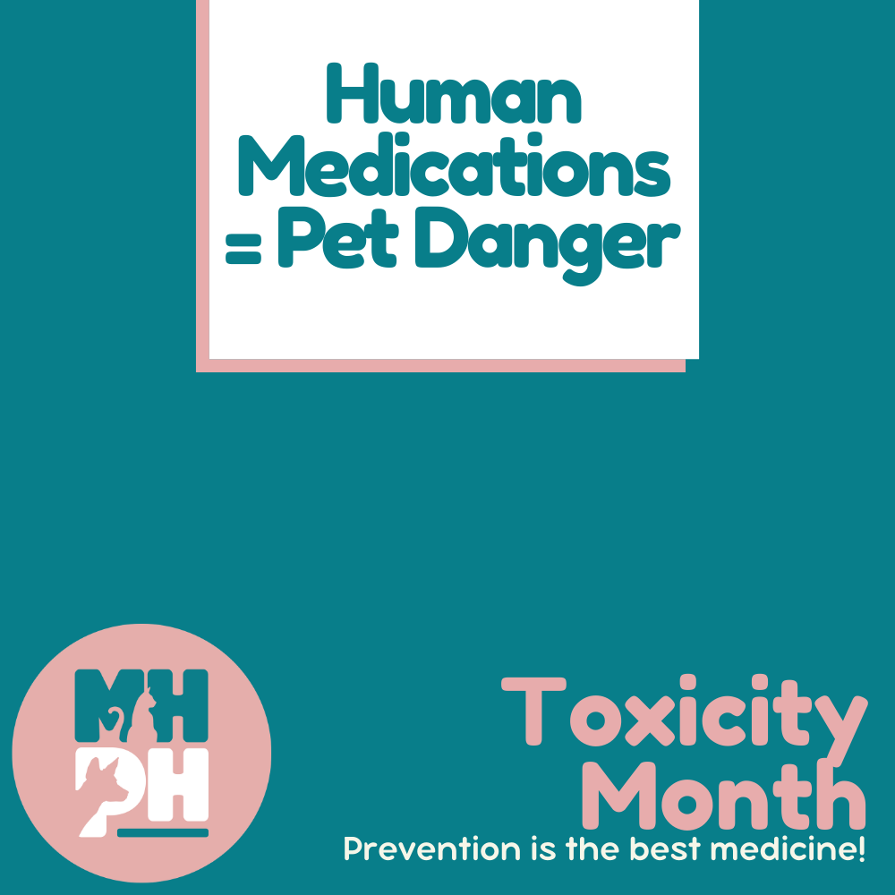 Human Medications = Pet Danger 💊