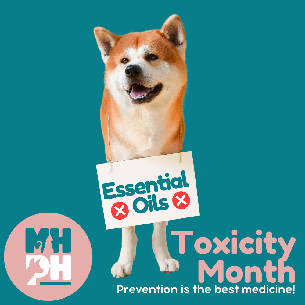 It’s a no to essential oils!