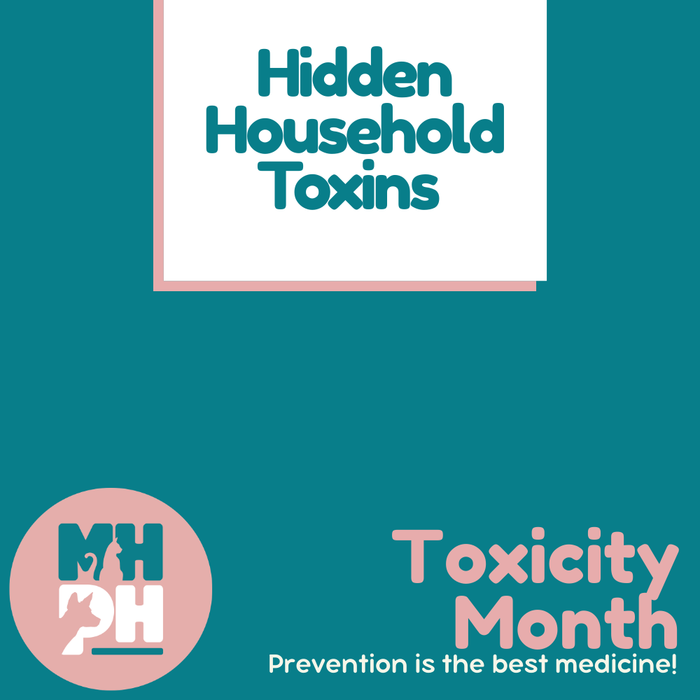 Hidden Household Toxins 🧴