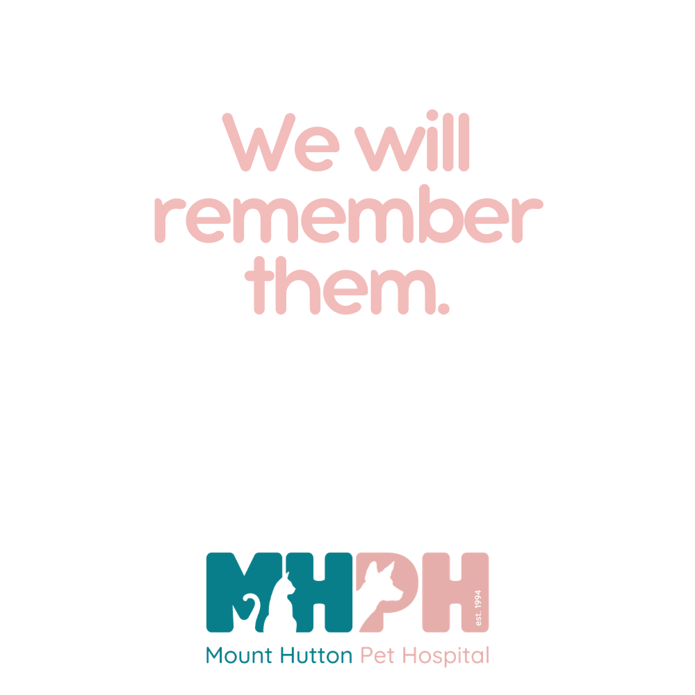 We will remember them