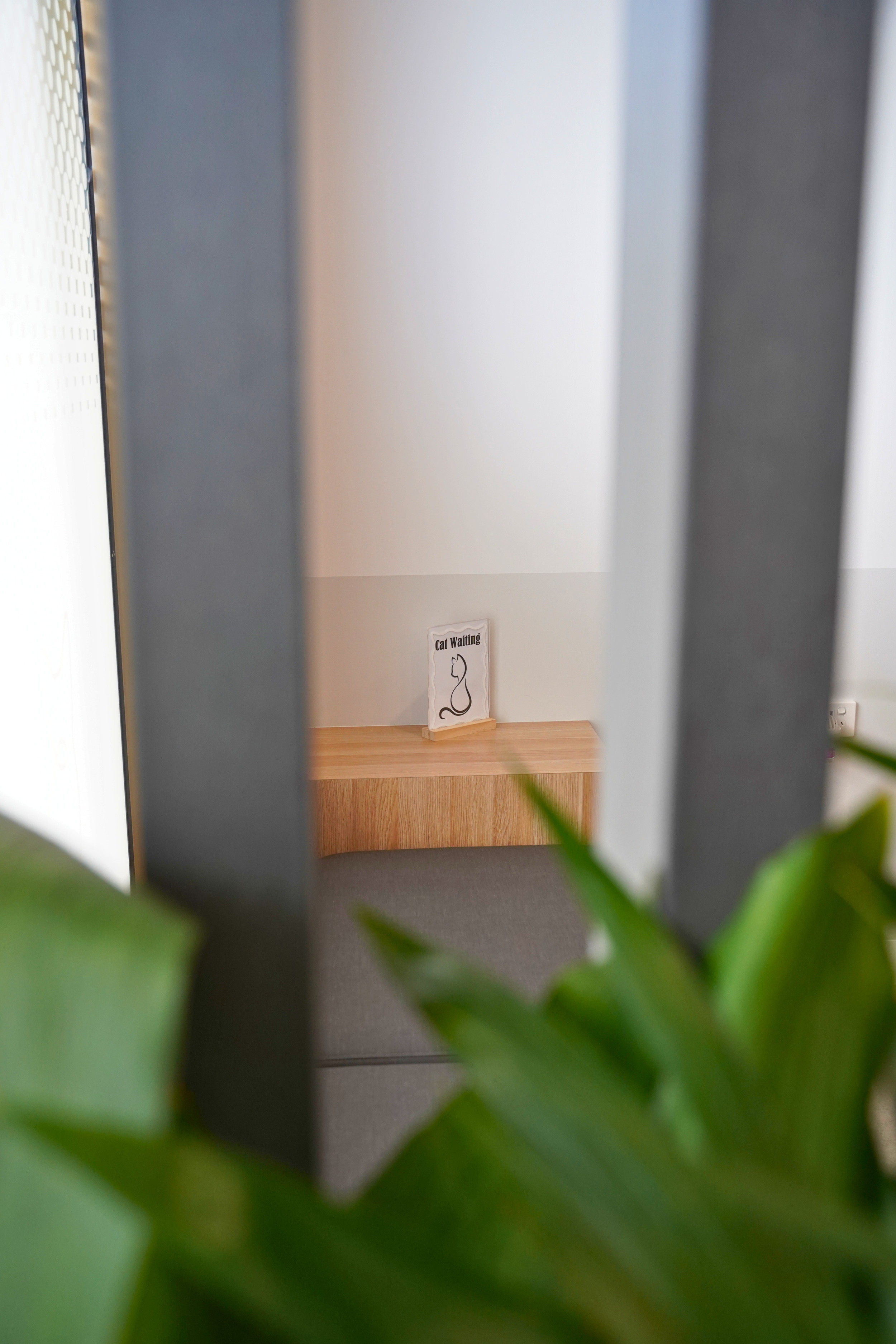 Hidden Household Toxins