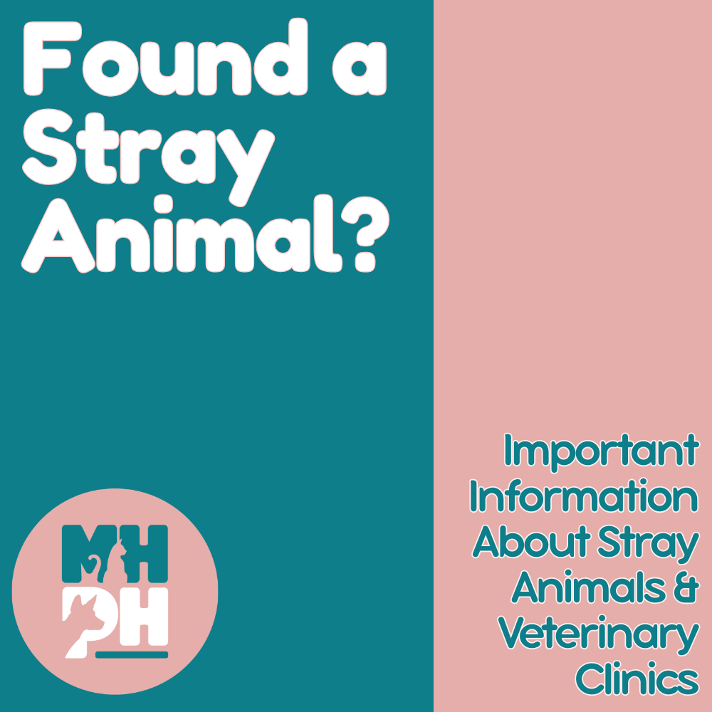 Found a Stray Animal?